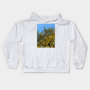 Tulip Tree in the Autumn Kids Hoodie